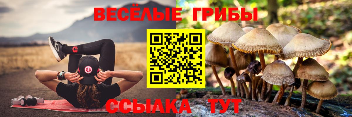 Тула  Галлюциногенные грибы GOLDEN TEACHER  цены   Вход с VPN 
